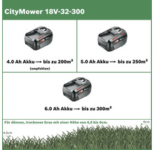CityMower 18V-32-300 mit 4.0 Amperestunden, 5.0 Amperestunden und 6.0 Amperestunden Akku für dünnes, trockenes Gras