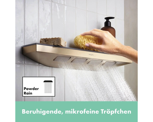 Brausekopf mit Ablage, Seife, Schwamm und Duschgel für die Körperpflege im Badezimmer