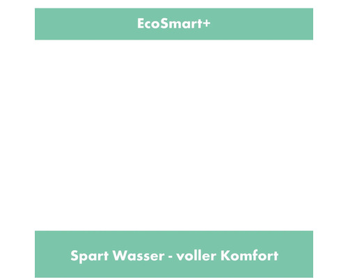 EcoSmart+: Wassersparen mit vollem Komfort