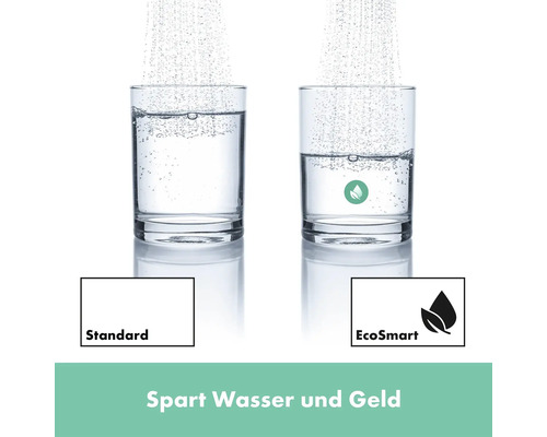 Vergleich von Wasserverbrauch: Standard gegenüber EcoSmart