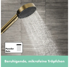 Duschsäule inkl. Thermostat hansgrohe Pulsify S 260 2jet EcoSmart bronze gebürstet 24241140