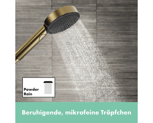 Handbrause mit Strahlart PowderRain