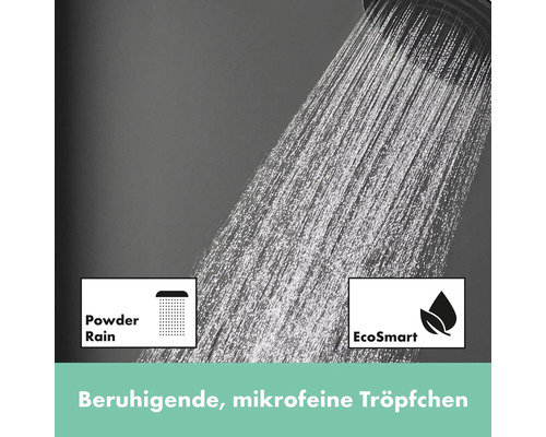 Brausekopf mit Wasserstrahlarten und EcoSmart Wassersparfunktion