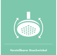 Duschsäule inkl. Thermostat hansgrohe Pulsify S 260 2jet EcoSmart bronze gebürstet 24241140