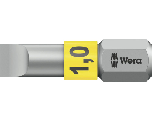 Schlitzschrauber Bit