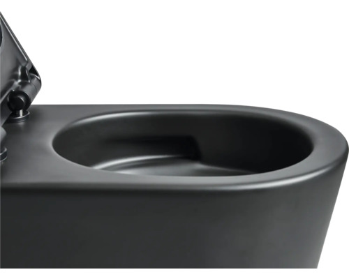 Detailansicht einer schwarzen Wandtoilette.