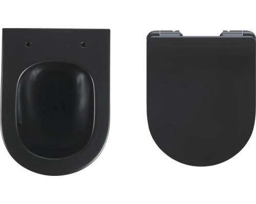 Wand-Tiefspül-WC mit WC-Sitz