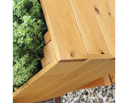 Detailansicht eines Hochbeets aus Holz mit Pflanzen