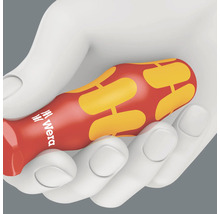 Schraubendreher in einer Hand