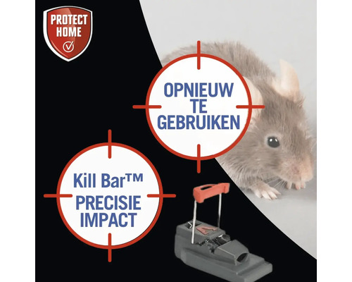 Protect Home Logo. Wiederverwendbare Kill Bar Mausefalle im Einsatz mit Maus.