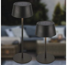 Zwei Solarleuchten für den Außenbereich auf einem Gartentisch