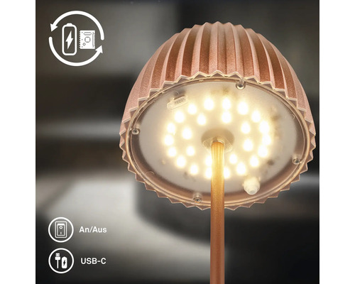 Akkubetriebene Tischleuchte mit USB-C Anschluss