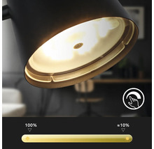 Nahaufnahme einer schwarzen Lampe mit Dimmfunktion und Helligkeitsregler