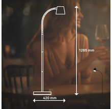 Abbildung einer Stehlampe mit den Maßangaben 1265 mm Höhe und 420 mm Breite.