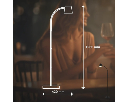 Abbildung einer Stehlampe mit den Maßangaben 1265 mm Höhe und 420 mm Breite.