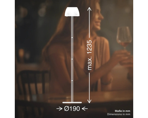 Illustration einer Stehlampe mit den Maßen 190 Millimeter Durchmesser und maximal 1235 Millimeter Höhe