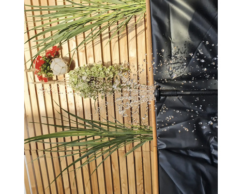 Szene mit Wasser, Pflanzen und Teichfolie auf Holzgrund