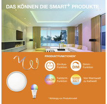 Funktionen von Smart Home Produkten in einem Wohnzimmer: Ein- und Ausschaltfunktion, Dimmfunktion, Farblichtfunktion, von Warmweiß zu Kaltweiß