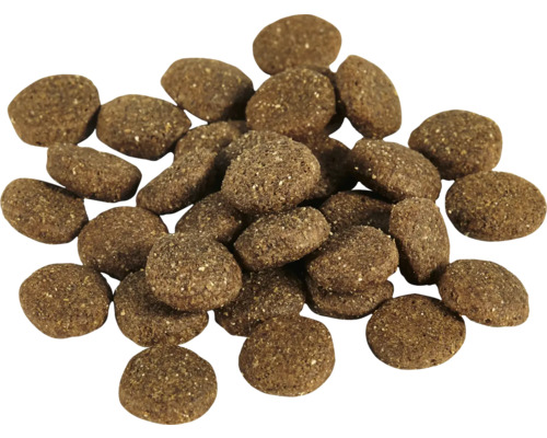 Haufwerk von Trockenfutter für Hunde