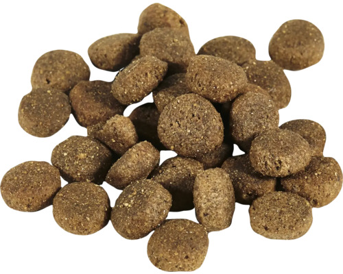 Haufen Trockenfutter für Haustiere