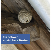 Wespennest an einem schwer zugänglichen Ort