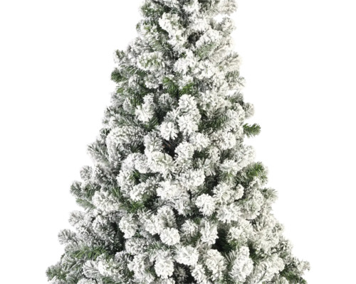 Nahaufnahme eines beschneiten Weihnachtsbaums