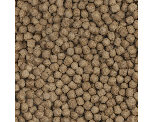 Nahaufnahme von Fischfutterpellets