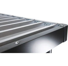 Gartenhaus Biohort HighLine Gr. H6 Einzeltür 314,3 x 314,3 silber-metallic