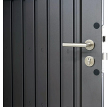 Gartenhaus Biohort HighLine Gr. H6 Einzeltür 314,3 x 314,3 silber-metallic