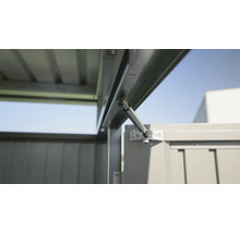 Gartenhaus Biohort HighLine Gr. H6 Einzeltür 314,3 x 314,3 silber-metallic