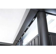 Gartenhaus Biohort HighLine Gr. H6 Einzeltür 314,3 x 314,3 silber-metallic