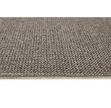 Teppichboden Schlinge Tulsa schlamm FB49 500 cm breit (Meterware)
