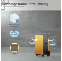 Luftentfeuchter mit automatischer Frostschutzfunktion und Luftfilter