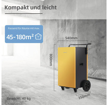 Mobiler Luftentfeuchter mit den Maßen 800 mm Höhe, 540 mm Breite und 350 mm Tiefe, geeignet für Räume bis maximal 180 Quadratmeter