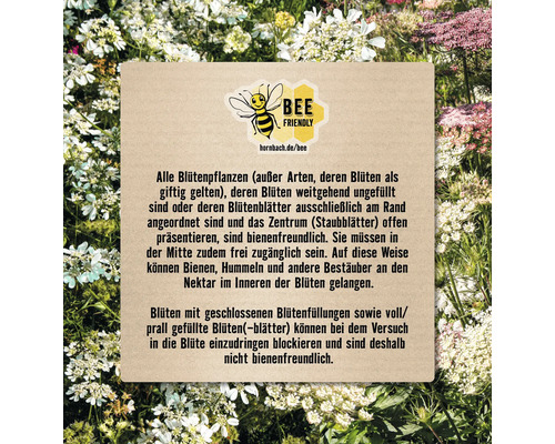 Informationen zu bienenfreundlichen Pflanzen