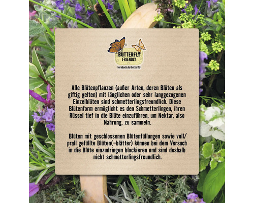 Informationen zur Schmetterlingsfreundlichkeit von Blütenpflanzen