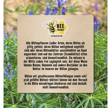 Lupine FloraSelf Blumensamen