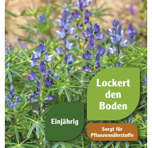 Lupine FloraSelf Blumensamen