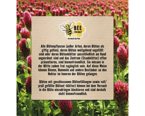 Informationen zu bienenfreundlichen Blumen