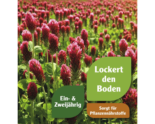 "Feld mit Inkarnatklee, der den Boden lockert und für Pflanzennährstoffe sorgt