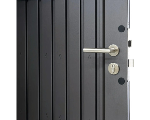 Detailansicht einer Eingangstür mit Türgriff und Schloss