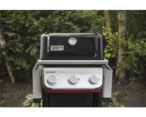 Weber Spirit Gasgrill mit Sear Zone