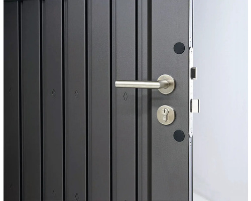 Detailansicht einer Außentür mit Türgriff und Schloss