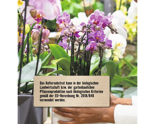 Orchideen mit Schild zur Verwendung des Kultursubstrats in der biologischen Landwirtschaft