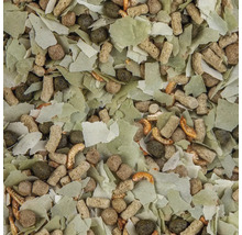 Nahaufnahme von Fischfutter bestehend aus Flocken, Pellets und gefriergetrockneten Garnelen