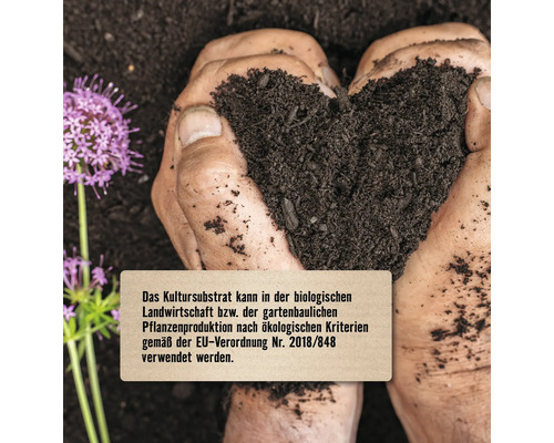 Hände formen Herz mit Pflanzenerde, geeignet für ökologischen Landbau