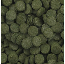 Nahaufnahme von Fischfuttertabletten