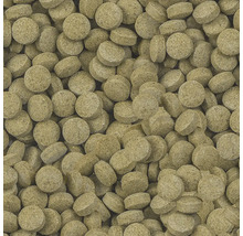 Nahaufnahme von Fischfuttertabletten