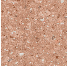 Nahaufnahme einer Bodenfliese mit Terrazzo Muster.