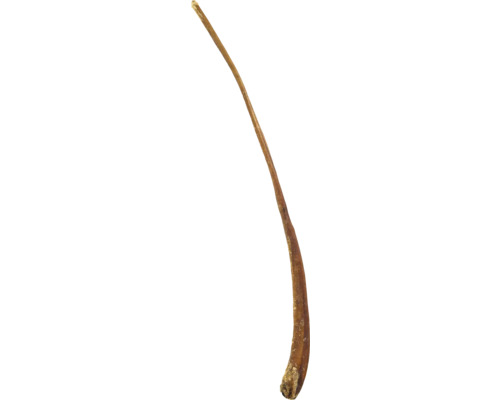 Hundesnack MR. BEEF Ochsenziemer ganz ca. 60 cm ca. 100 g Kauartikel, Kausnack Getrockneter Kauartikel für Hunde aus Rinderkopfhaut